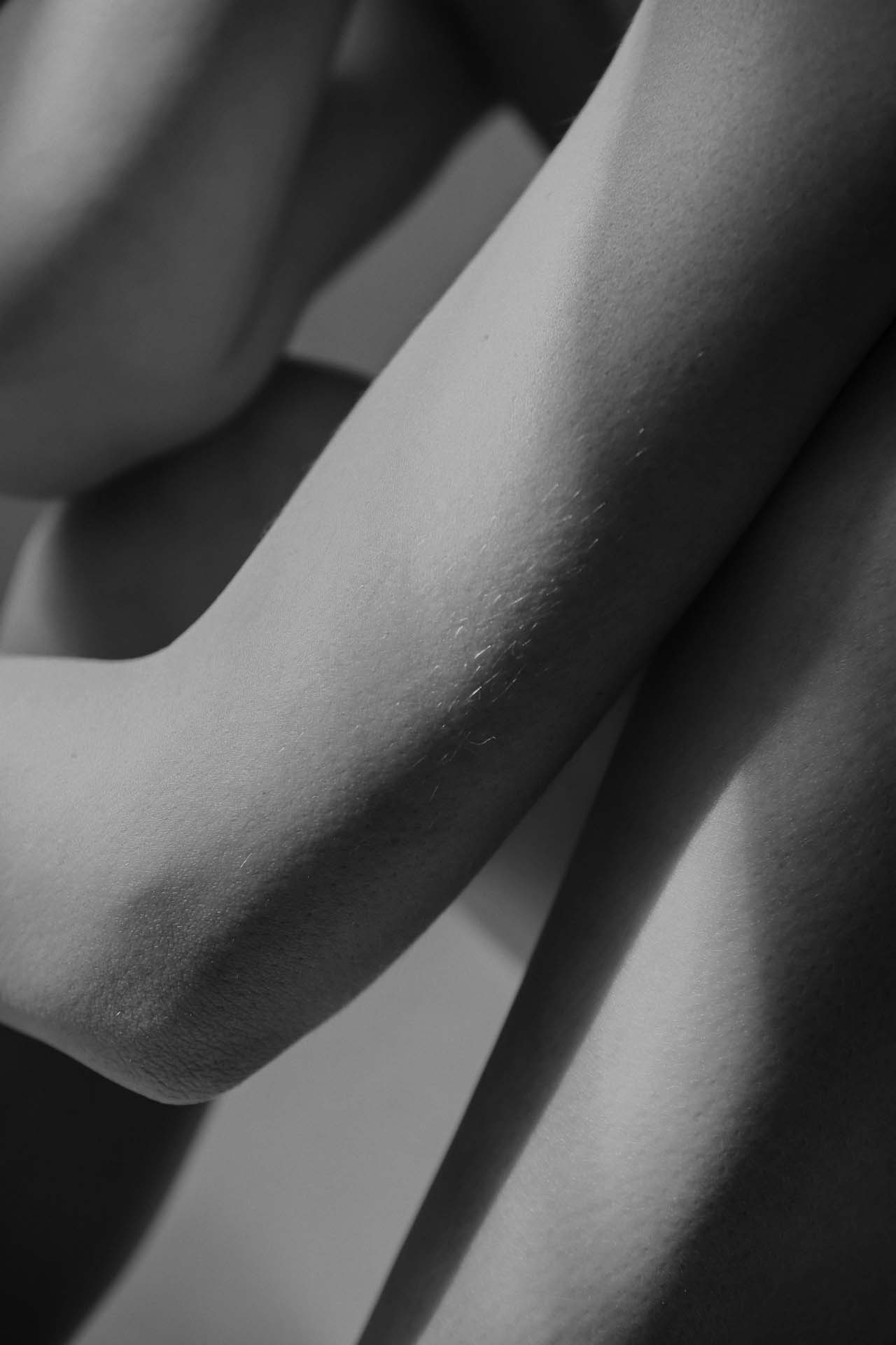 Body – House Stealing Beauty